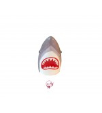 Shark's Mouth 
