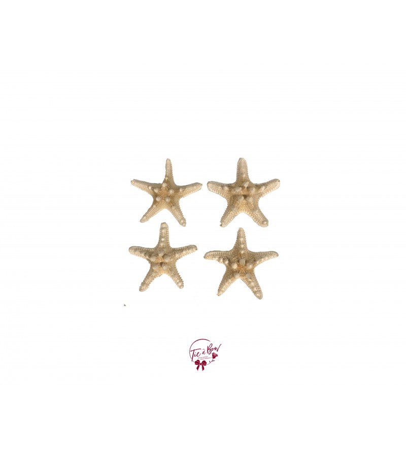 Starfish (Knobby) Set of 4 