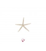 Starfish (Large) 