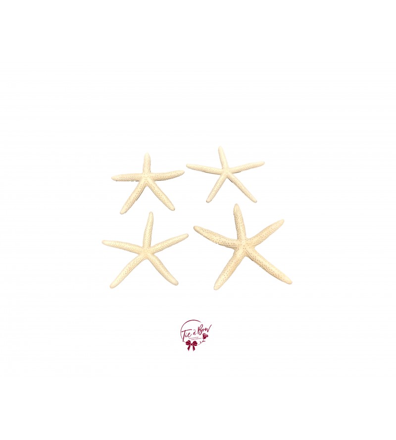 Starfish Set of 4 