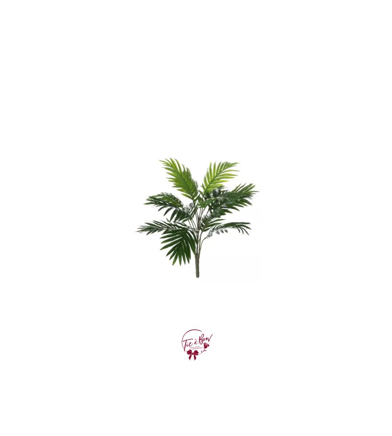 Palm Bush