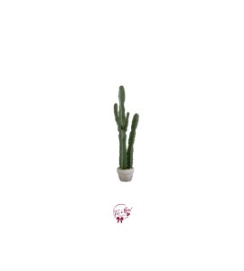 Cactus Floor Prop (Artificial) 