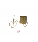 Tricycle: Small Golden Tricycle Planter 