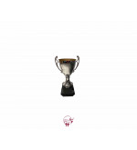Silver and Black Trophy (Large)