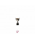 Silver and Black Trophy (Small)