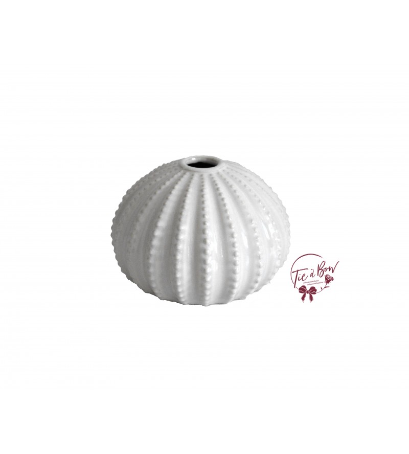 Whitewash Urchin Seashell Vase